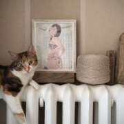 ヒメ日記 2026/04/29 15:17 投稿 結子 プレイボーイ(八王子)