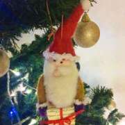 ヒメ日記 2025/12/24 08:46 投稿 めぐみ 多恋人 新宿店