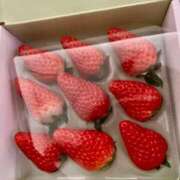 ヒメ日記 2026/02/03 20:37 投稿 かほ 池袋千姫