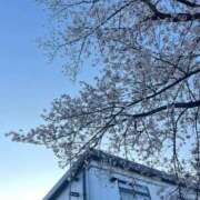 かほ 昨日と今日のお礼♡ 池袋千姫