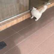 ヒメ日記 2025/12/10 07:49 投稿 あい 静岡♂風俗の神様 静岡店