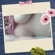 ヒメ日記 2025/08/29 17:23 投稿 みさお 熟女の風俗最終章 八王子店