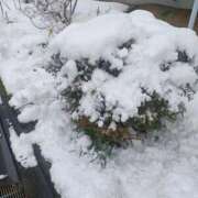 ヒメ日記 2026/02/23 18:48 投稿 みさお 熟女の風俗最終章 八王子店