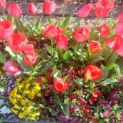 ヒメ日記 2026/04/03 18:23 投稿 みさお 熟女の風俗最終章 八王子店