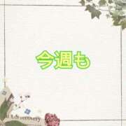 ヒメ日記 2025/06/09 11:11 投稿 なみ リアル 梅田店