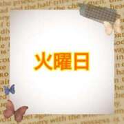 ヒメ日記 2025/10/14 11:20 投稿 なみ リアル 梅田店