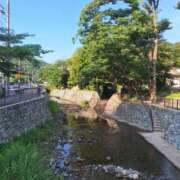 ヒメ日記 2025/06/24 18:20 投稿 ありさ ヌクトコ