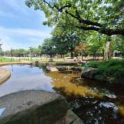 ヒメ日記 2025/07/04 23:02 投稿 ありさ ヌクトコ