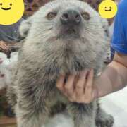 ヒメ日記 2025/09/03 23:03 投稿 ありさ ヌクトコ