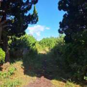 ヒメ日記 2025/09/19 18:24 投稿 ありさ ヌクトコ