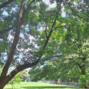 ヒメ日記 2025/09/20 23:26 投稿 ありさ ヌクトコ