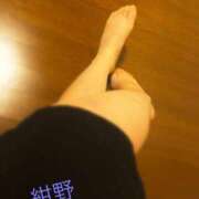 ヒメ日記 2025/05/11 08:05 投稿 紺野 即プレイ専門店 変態人妻サークル 古川店