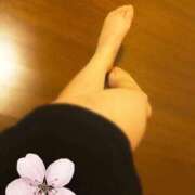 ヒメ日記 2025/10/13 12:25 投稿 紺野 即プレイ専門店 変態人妻サークル 古川店