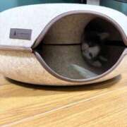 ヒメ日記 2025/01/08 09:08 投稿 小野寺雪乃 お色気物語（横浜ハレ系）