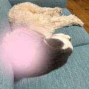 ヒメ日記 2025/02/05 09:18 投稿 小野寺雪乃 お色気物語（横浜ハレ系）