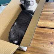 ヒメ日記 2025/02/22 08:29 投稿 小野寺雪乃 お色気物語（横浜ハレ系）