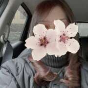 ヒメ日記 2025/04/02 09:00 投稿 小野寺雪乃 お色気物語（横浜ハレ系）