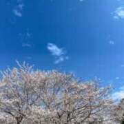 ヒメ日記 2025/04/16 09:04 投稿 小野寺雪乃 お色気物語（横浜ハレ系）