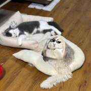 ヒメ日記 2025/05/07 09:13 投稿 小野寺雪乃 お色気物語（横浜ハレ系）