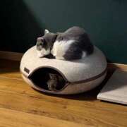 ヒメ日記 2025/05/16 09:25 投稿 小野寺雪乃 お色気物語（横浜ハレ系）