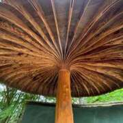 ヒメ日記 2025/06/01 08:10 投稿 小野寺雪乃 お色気物語（横浜ハレ系）