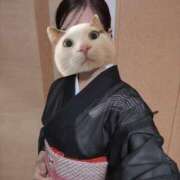 ヒメ日記 2025/07/23 09:10 投稿 小野寺雪乃 お色気物語（横浜ハレ系）