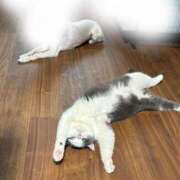 ヒメ日記 2025/08/19 09:04 投稿 小野寺雪乃 お色気物語（横浜ハレ系）