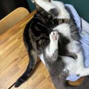 ヒメ日記 2026/02/18 09:24 投稿 小野寺雪乃 お色気物語（横浜ハレ系）