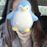 ヒメ日記 2026/03/11 09:14 投稿 小野寺雪乃 お色気物語（横浜ハレ系）