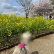 ヒメ日記 2026/04/07 08:50 投稿 小野寺雪乃 お色気物語（横浜ハレ系）