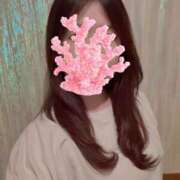 ヒメ日記 2026/08/24 09:01 投稿 小野寺雪乃 お色気物語（横浜ハレ系）