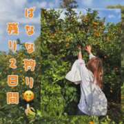 ヒメ日記 2025/11/19 14:42 投稿 かな 甘熟クラブ