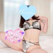 ヒメ日記 2025/04/01 08:00 投稿 ひなこ consolation