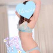 ヒメ日記 2025/04/21 12:16 投稿 ひなこ consolation