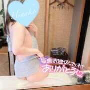 ヒメ日記 2025/05/26 12:30 投稿 ひなこ consolation