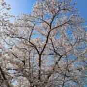 ヒメ日記 2025/04/10 11:30 投稿 みつこ(梅田) 妻天 尼崎店