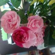 ヒメ日記 2025/05/09 11:50 投稿 みつこ(梅田) 妻天 尼崎店