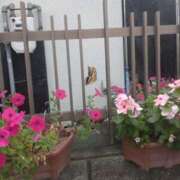 ヒメ日記 2025/05/13 11:40 投稿 みつこ(梅田) 妻天 尼崎店