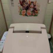 ヒメ日記 2026/05/17 11:23 投稿 みつこ(梅田) 妻天 尼崎店
