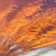 ヒメ日記 2025/11/02 22:01 投稿 瀬奈 上野CLUB A(クラブ エー)