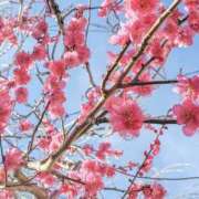 ヒメ日記 2026/01/25 22:00 投稿 瀬奈 上野CLUB A(クラブ エー)