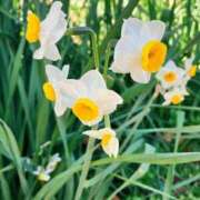 ヒメ日記 2026/02/02 22:01 投稿 瀬奈 上野CLUB A(クラブ エー)