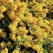 ヒメ日記 2026/03/01 22:01 投稿 瀬奈 上野CLUB A(クラブ エー)