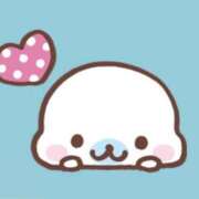 ヒメ日記 2024/12/09 12:56 投稿 まおみ 渋谷 風俗 奥様発情の会