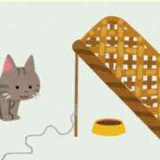 まおみ まおみ猫捕獲した 渋谷 風俗 奥様発情の会