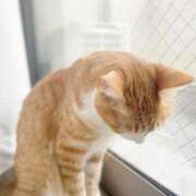 ヒメ日記 2026/01/16 10:12 投稿 まおみ 渋谷 風俗 奥様発情の会