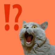 ヒメ日記 2026/03/02 15:37 投稿 まおみ 渋谷 風俗 奥様発情の会