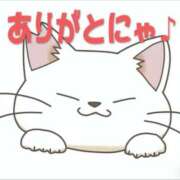 まおみ 猫節炸裂な出勤のお知らせ 渋谷 風俗 奥様発情の会