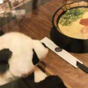 ヒメ日記 2024/12/11 19:43 投稿 三井　３７５ トランス＠クリニック東京　新宿～出張　前立腺トリートメント