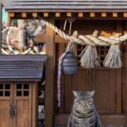 ヒメ日記 2025/01/16 18:30 投稿 三井　３７５ トランス＠クリニック東京　新宿～出張　前立腺トリートメント